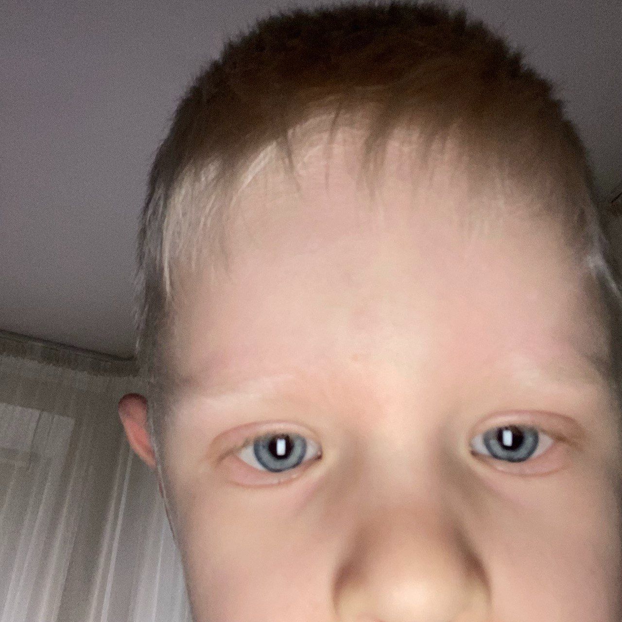 Gallyano