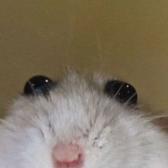 adsjncvidsu