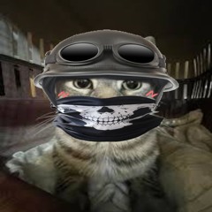 Vunky Bitcrusher