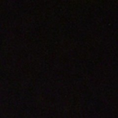 Black Rabbit Official