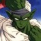 piccolo