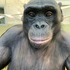 Билли Ногами