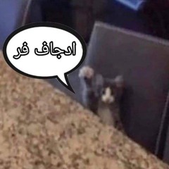Raz