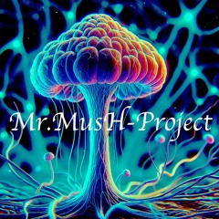 Mr MUSH-Project