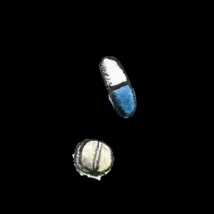 Avox Servín