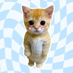 Mrm