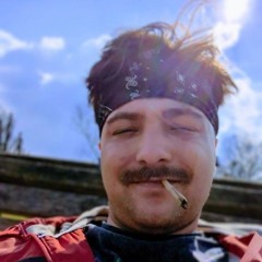 beezeedapimp