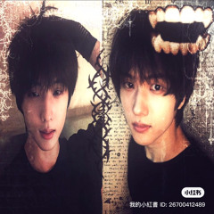 foryaee's kitten ♡