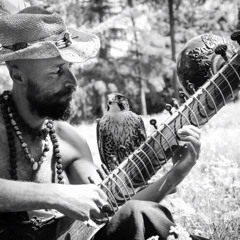 paul jackson omnivibes music