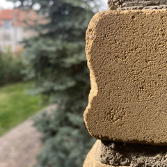 Markas