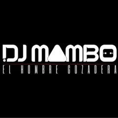 DJ MAMBO 305
