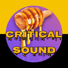 Critical Sound