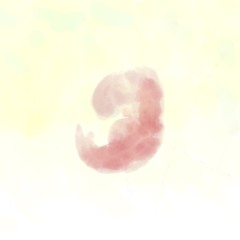 yakai