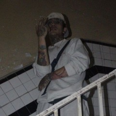 zZebra Ku$h
