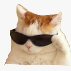 Moodq