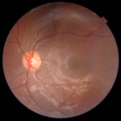 Diego Gaspar Ibañez