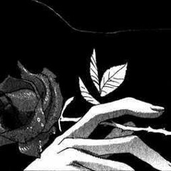 Blossom
