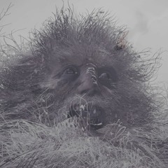 𝕵𝖆𝖉𝖔𝖓 𝕳𝖊𝖓𝖘𝖑𝖊𝖞