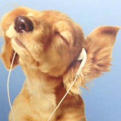 viismp3