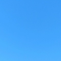 최시원