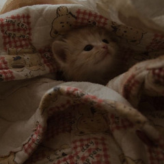 нюся🎀