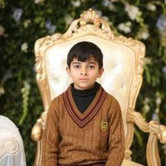 Syed Mazahir