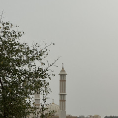 الســنــيـ515
