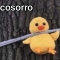 Michyy