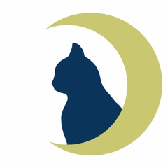 Moon Cat