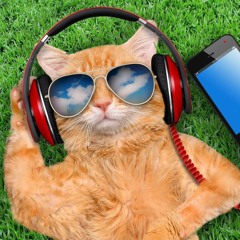 łîł.Ņāsswŵaŷ•