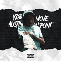 YDB Austin