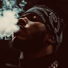 TC Sinatra