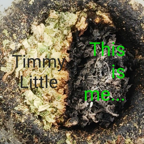 Timmy Little’s avatar