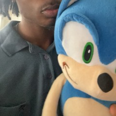 sonicsekitten