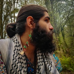 emad naghibi