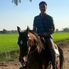 Mohamed Elsherbiny