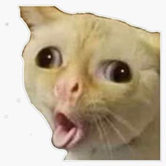 Juarez Syndicate Project