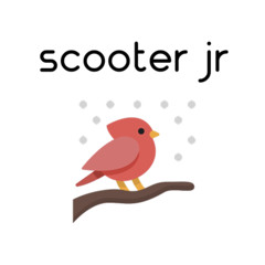 Scooter Jr