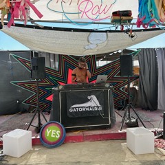 DJ Steve (dih-jes-tiv)