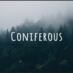 Coniferous