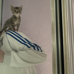 Soffy