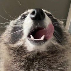 old love, new friend