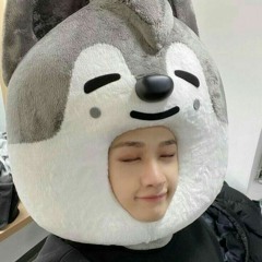 bangchan's lover <33