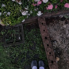 babycupcakes 𐙚 ׅ ࣪