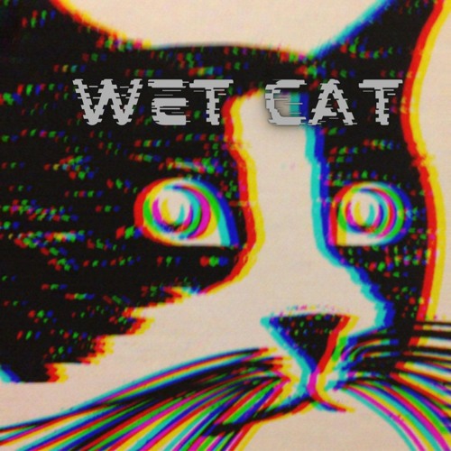 Wet Cat (official)’s avatar