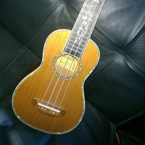 Here Comes The Sun - George Harrison/Beatles (avec Manu)