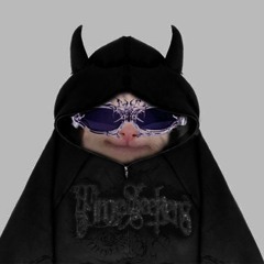 akira net
