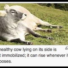 Deseray’s Closet of Sound