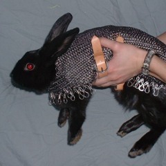frankenbun