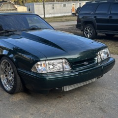 Mustangz
